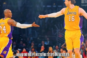 星空体育下载啊-赛前洛杉矶湖人调整名单以备欧超杯，主帅复盘环节打磨，震撼外界，高层口径保持一致的简单介绍